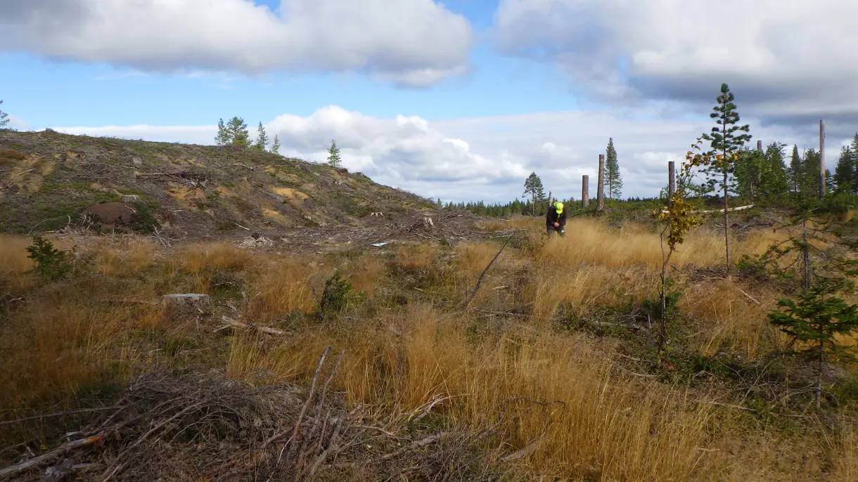 Museionsdag: Den tidigaste invandringen – när människorna kom till Norrbotten och Västerbotten